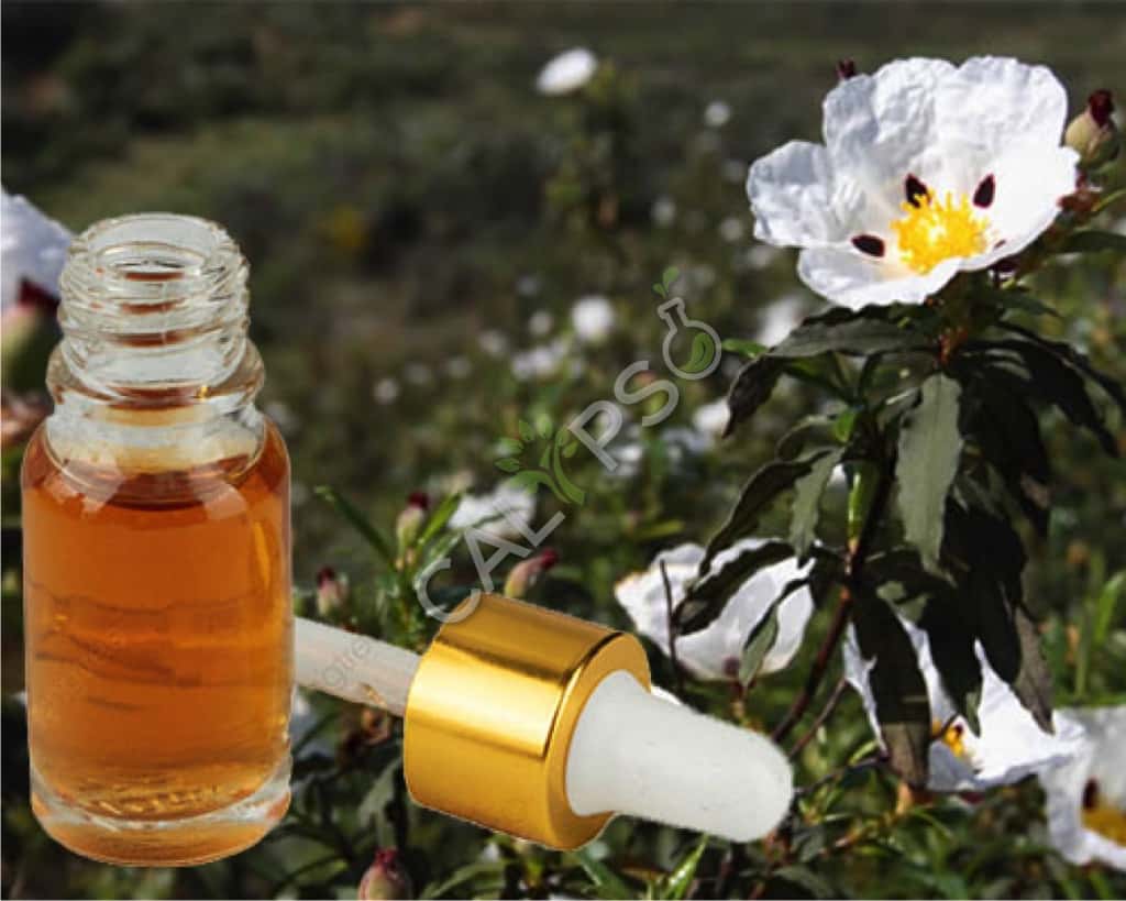 Acquista 100% Pure Labdanum Absolute Oil (Rock Rose)